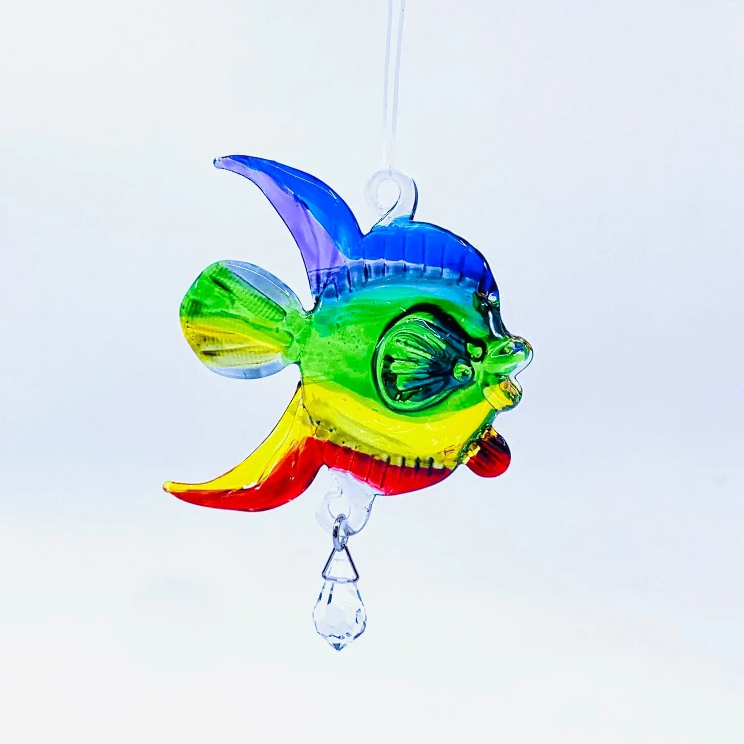 Dazzle Glass Fish, Rainbow 12