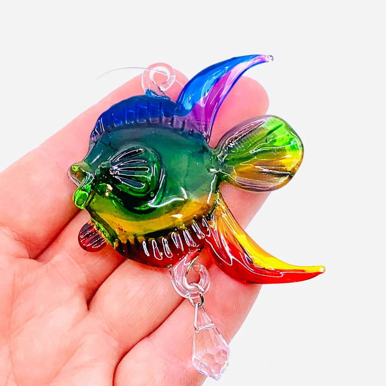 Dazzle Glass Fish, Rainbow 12