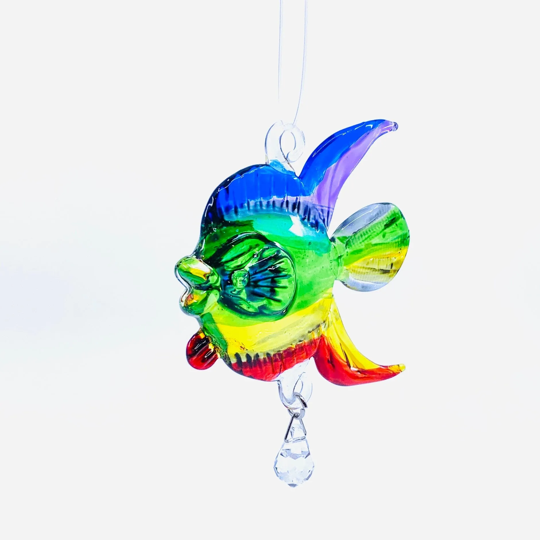 Dazzle Glass Fish, Rainbow 12